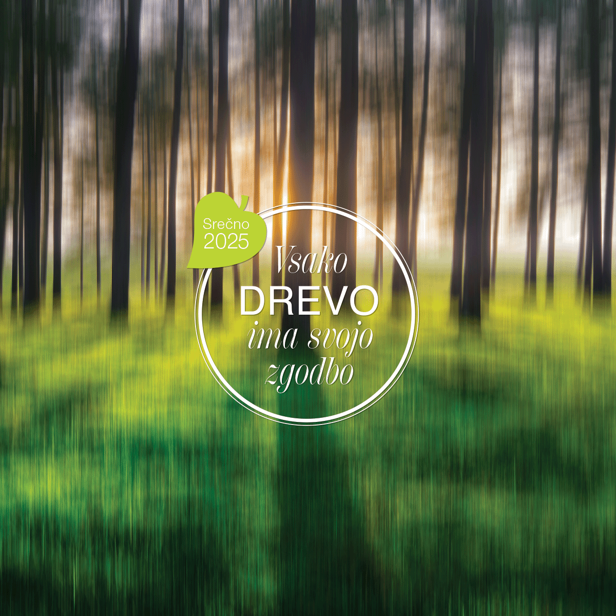 Art.100012 - Koledar BORI_stenski - DREVO: 300x300 mm - kvadrat, spirala sredina